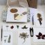 kit flores prensadas